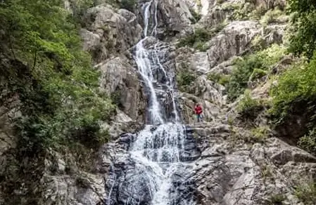 Giornata dell'Ambiente, il sogno di una Calabria più green per attrarre investimenti