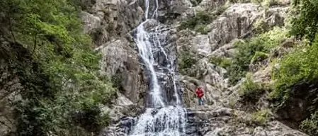 Giornata dell'Ambiente, il sogno di una Calabria più green per attrarre investimenti
