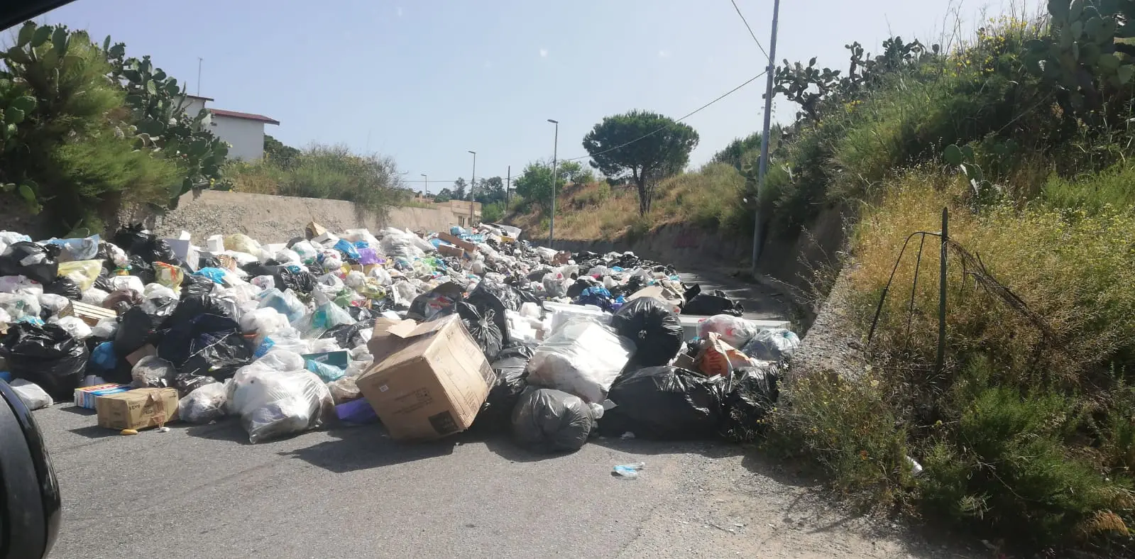 Il Comitato “No porta a porta”: sit-in e petizione popolare sulla Tari