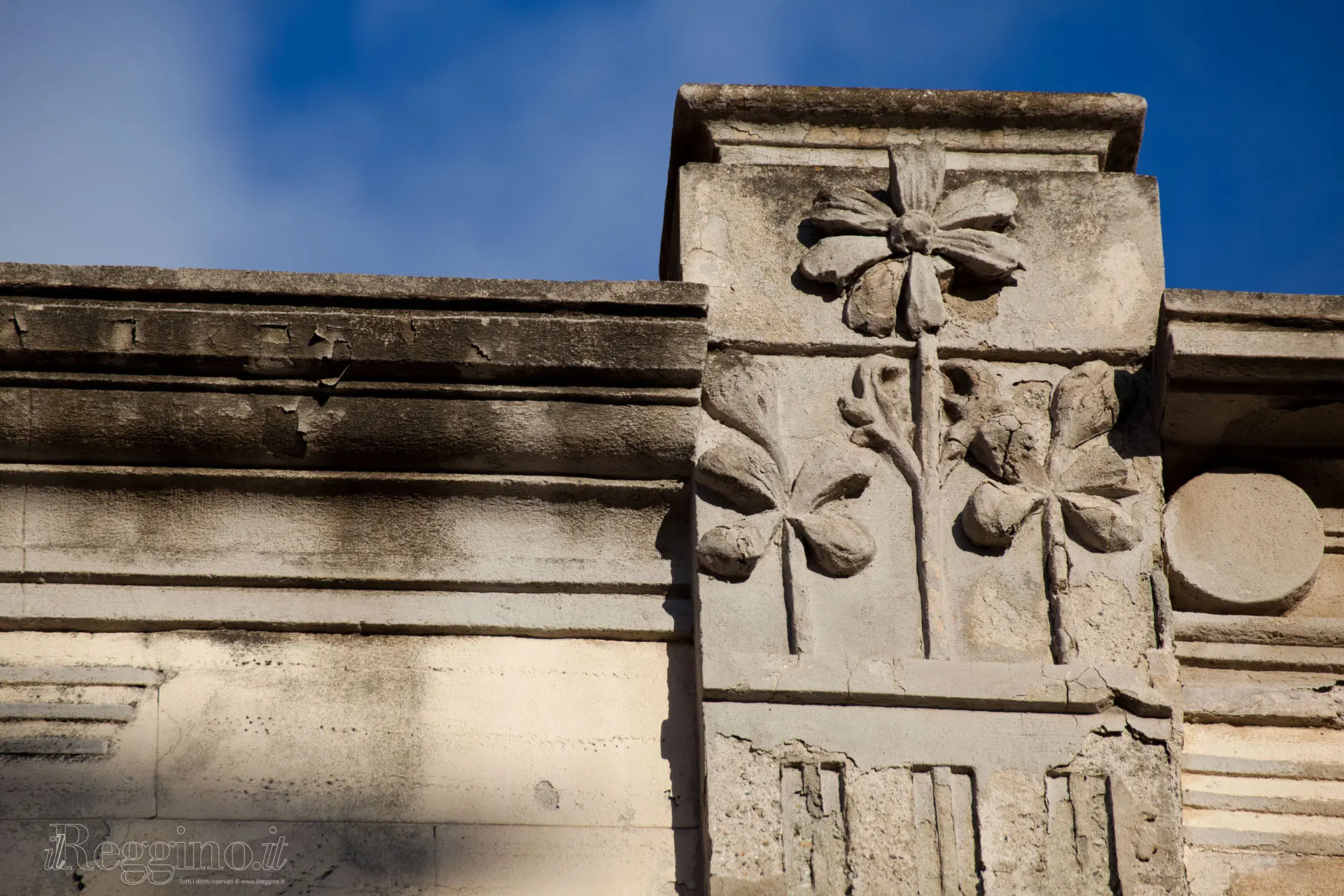 FIORI SUL CEMENTO
