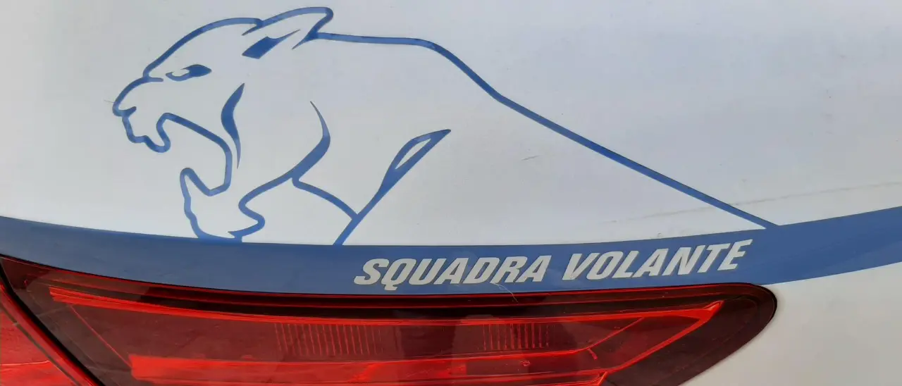 Reggio Calabria, con un carroattrezzi rubano materiale ferroso sulla A2: bloccati dalla Volanti