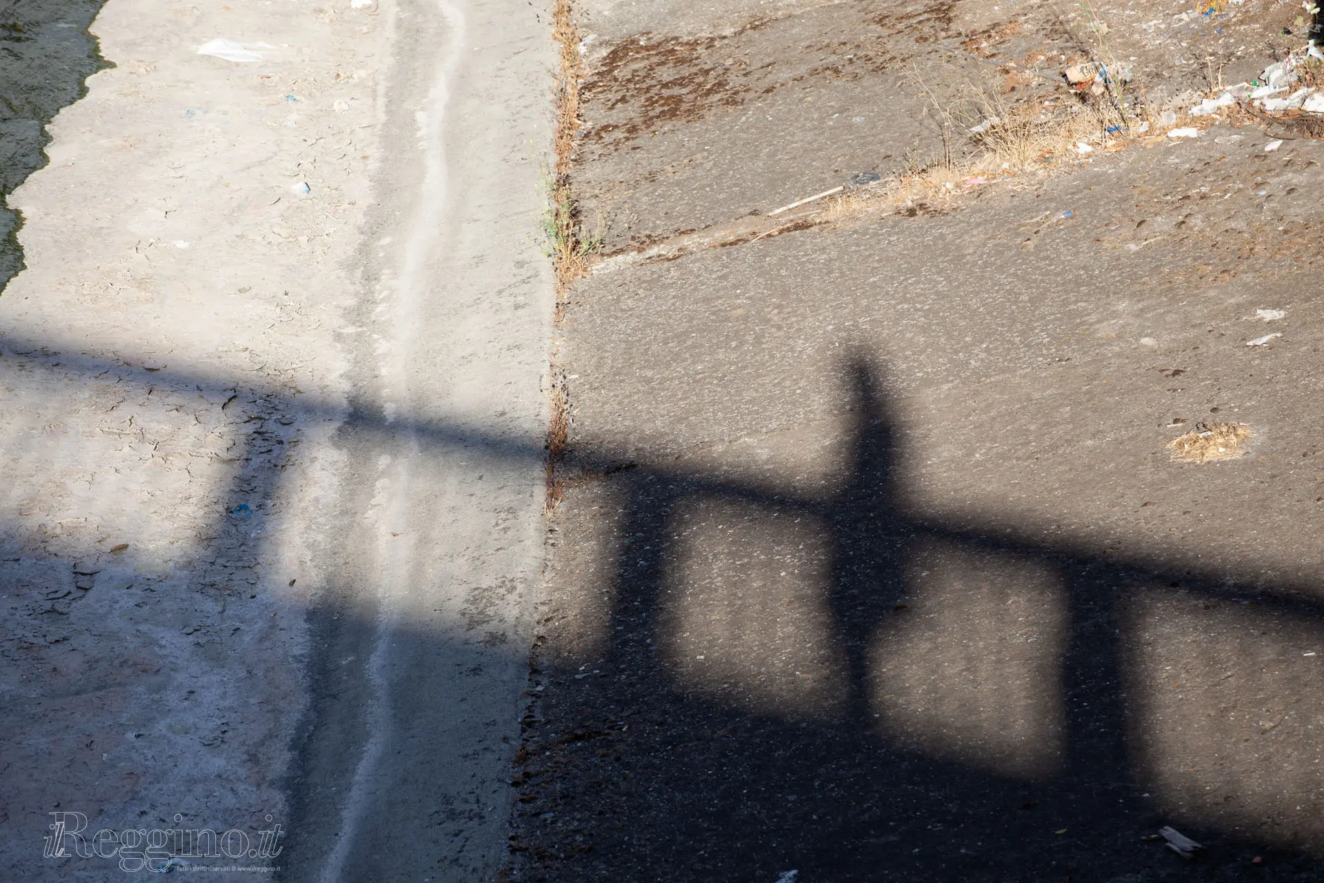 LINEE D'OMBRA