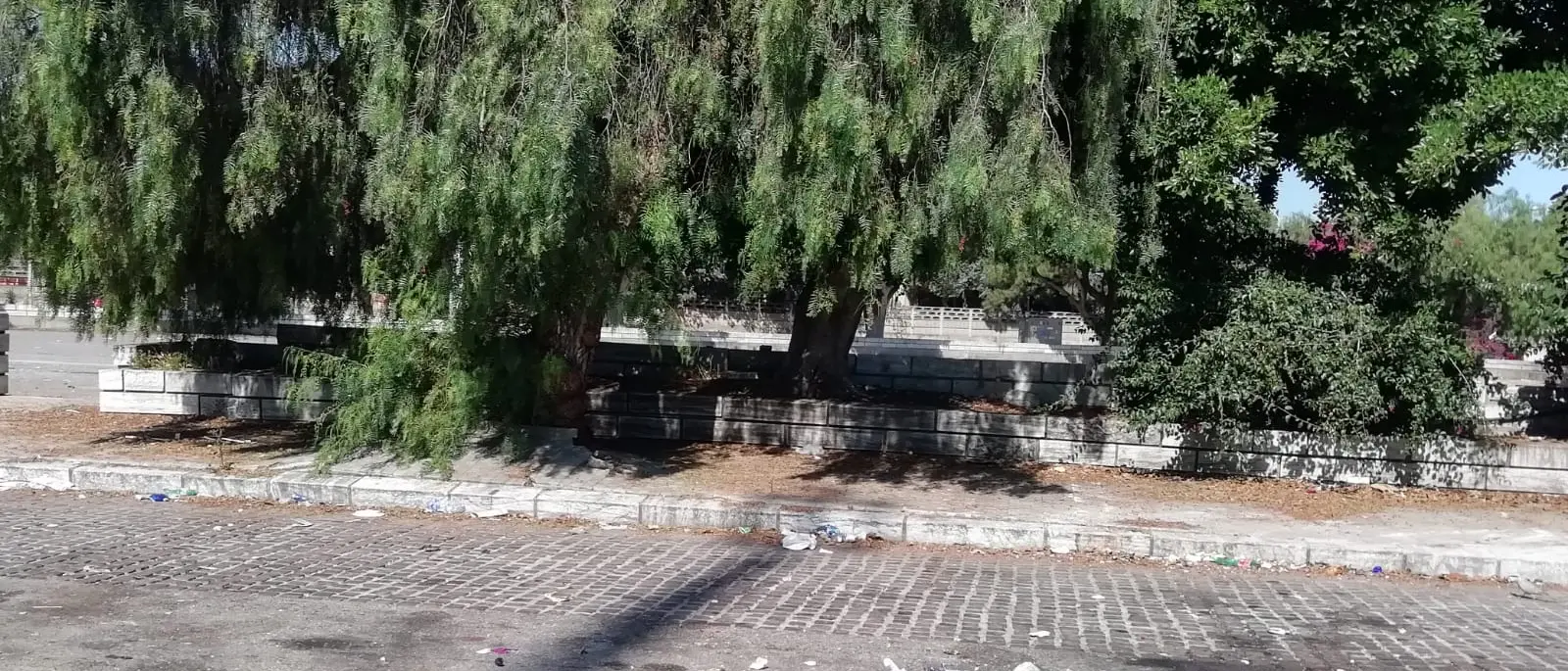 Reggio Calabria, \"La Cosa pubblica\": «Piazzale Ferrari usata per carico e scarico di rifiuti da Avr»