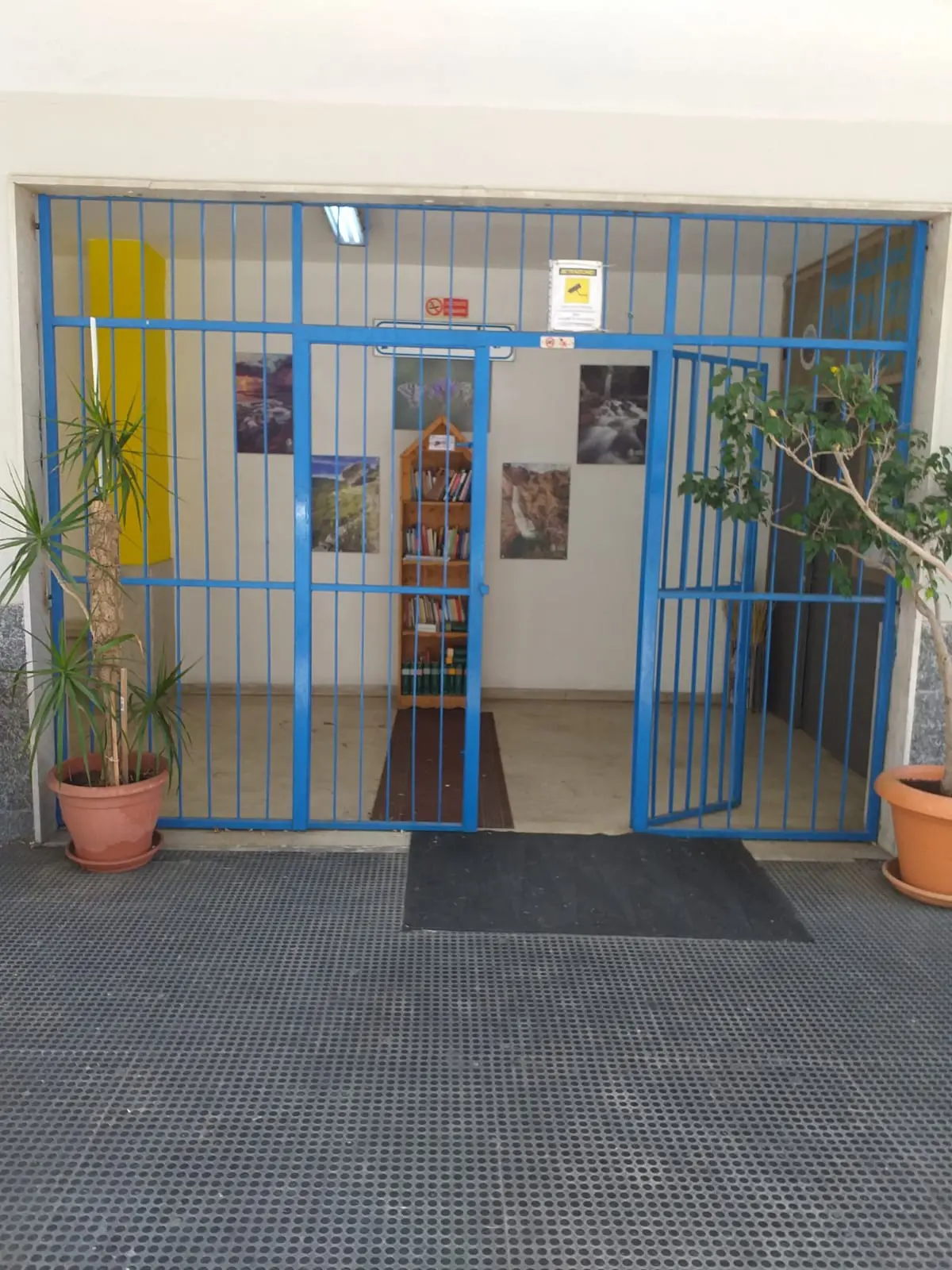 Reggio, l'associazione \"Incontriamoci sempre\" riparte con le attività culturali