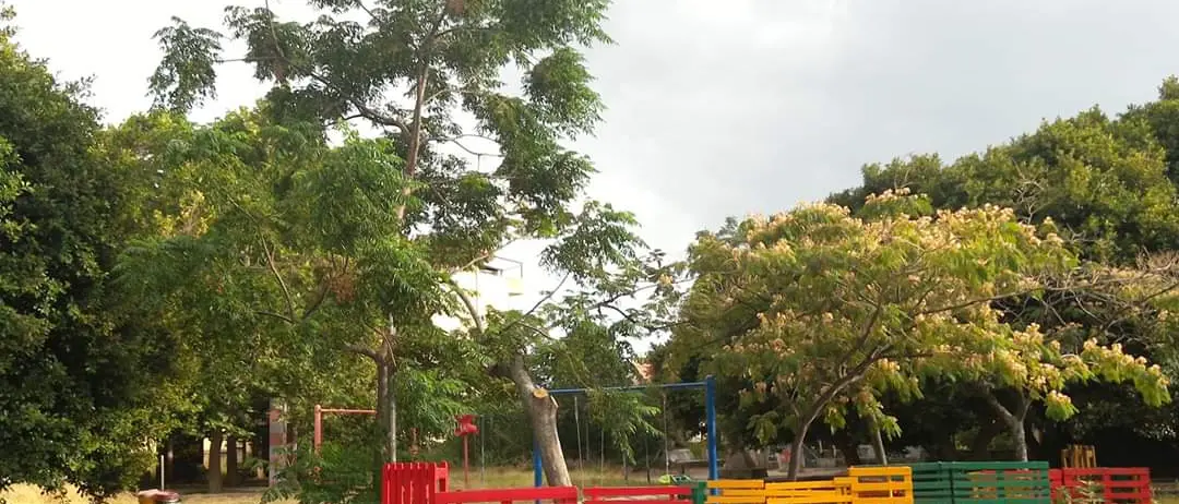 Reggio Calabria, Csoa Cartella: «Il problema dei rifiuti è una questione strutturale»