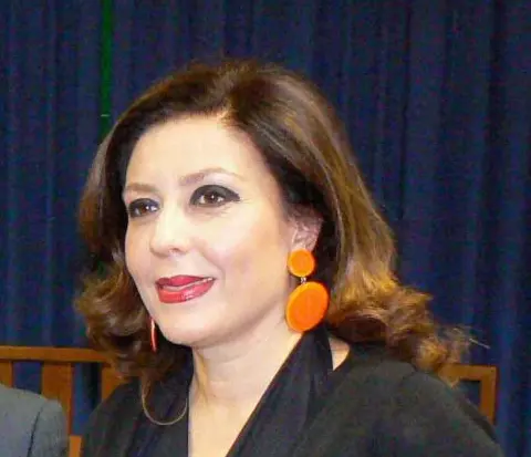 Reggio Calabria, minacce alla Cotroneo: solidarietà dal Consiglio dell'Ordine degli avvocati