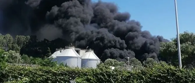 Vasto incendio nel depuratore di Gioia Tauro, vigili del fuoco sul posto