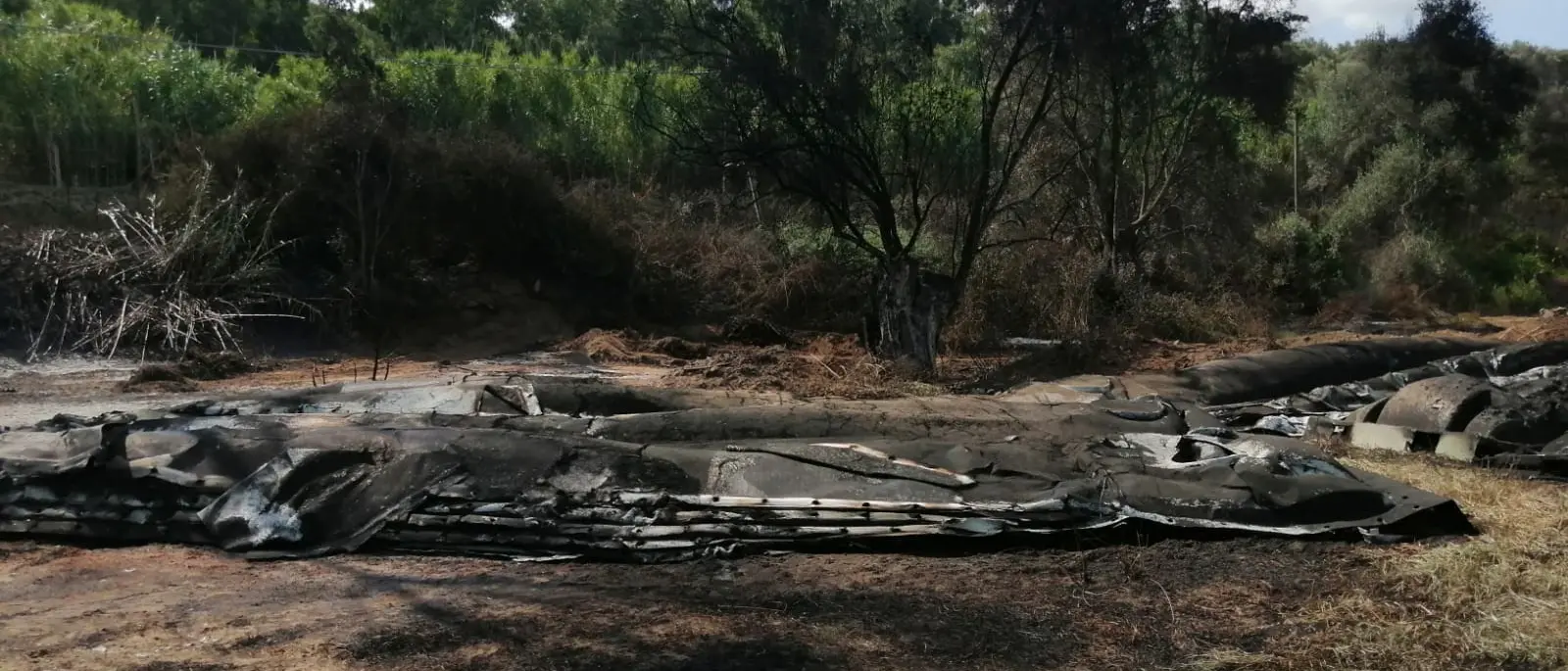 Incendio al depuratore di Gioia Tauro: colloquio tra Arpacal e il sindaco Alessio