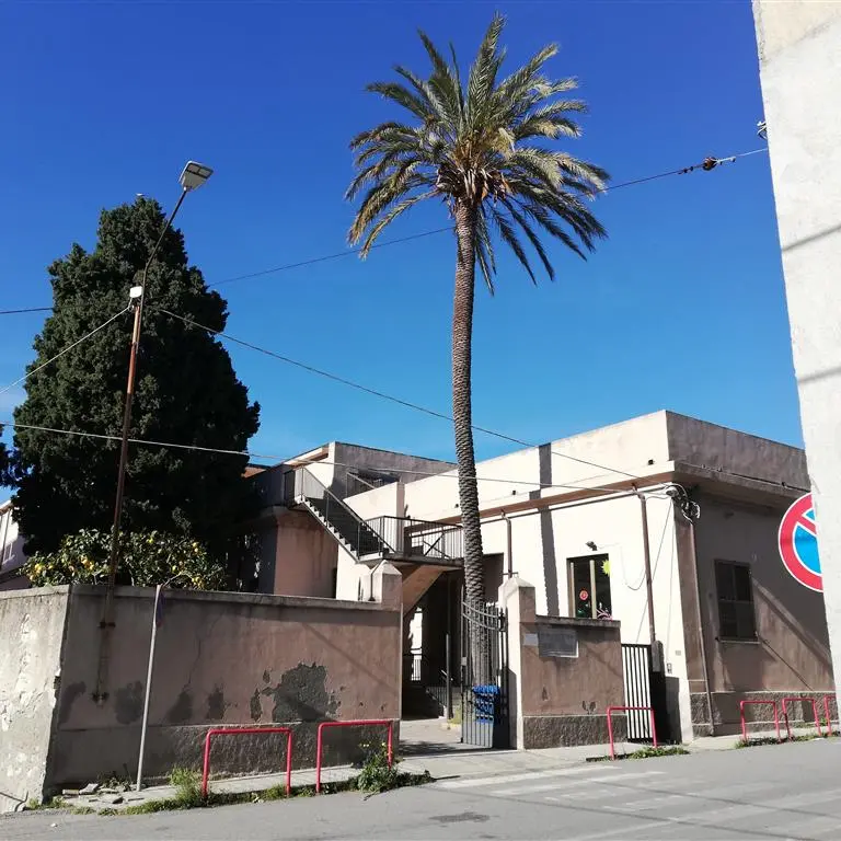 Lungomare Cicerone di Lazzaro, Crea: «L’unico rimedio per le palme appare l’eradicazione»