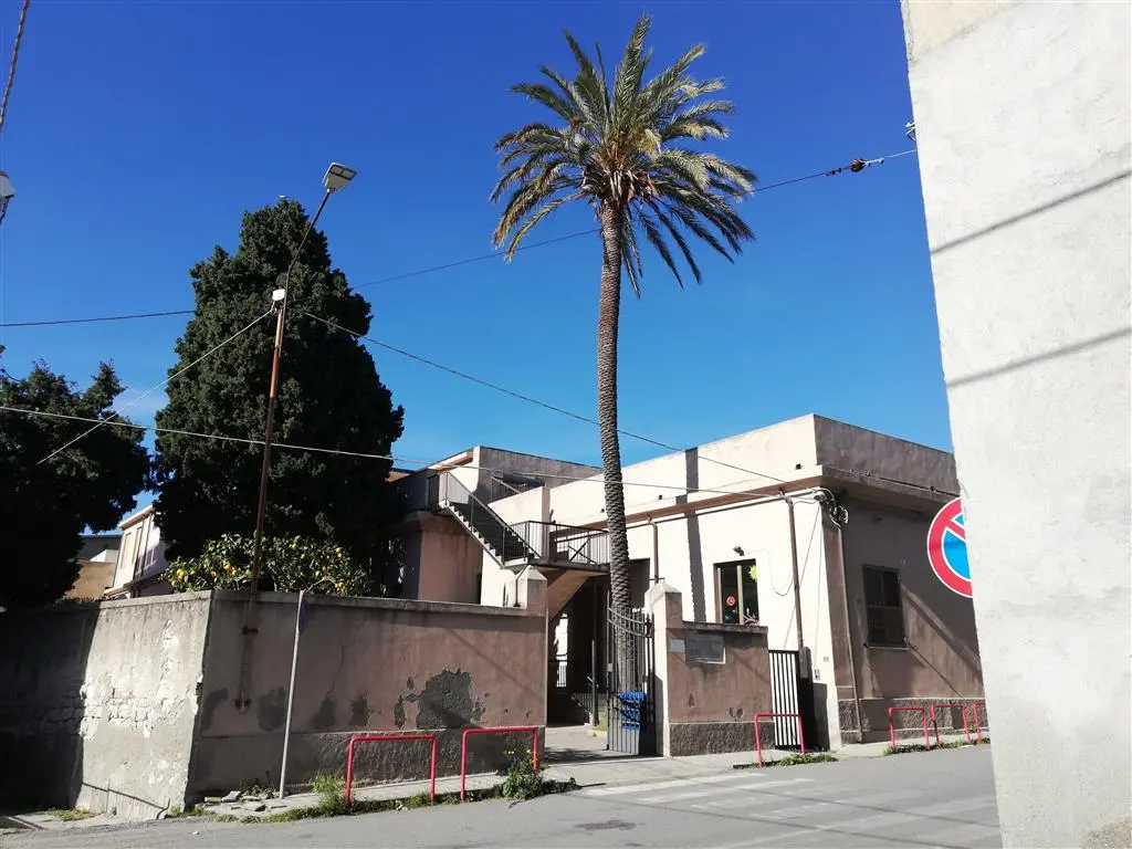 Lungomare Cicerone di Lazzaro, Crea: «L’unico rimedio per le palme appare l’eradicazione»