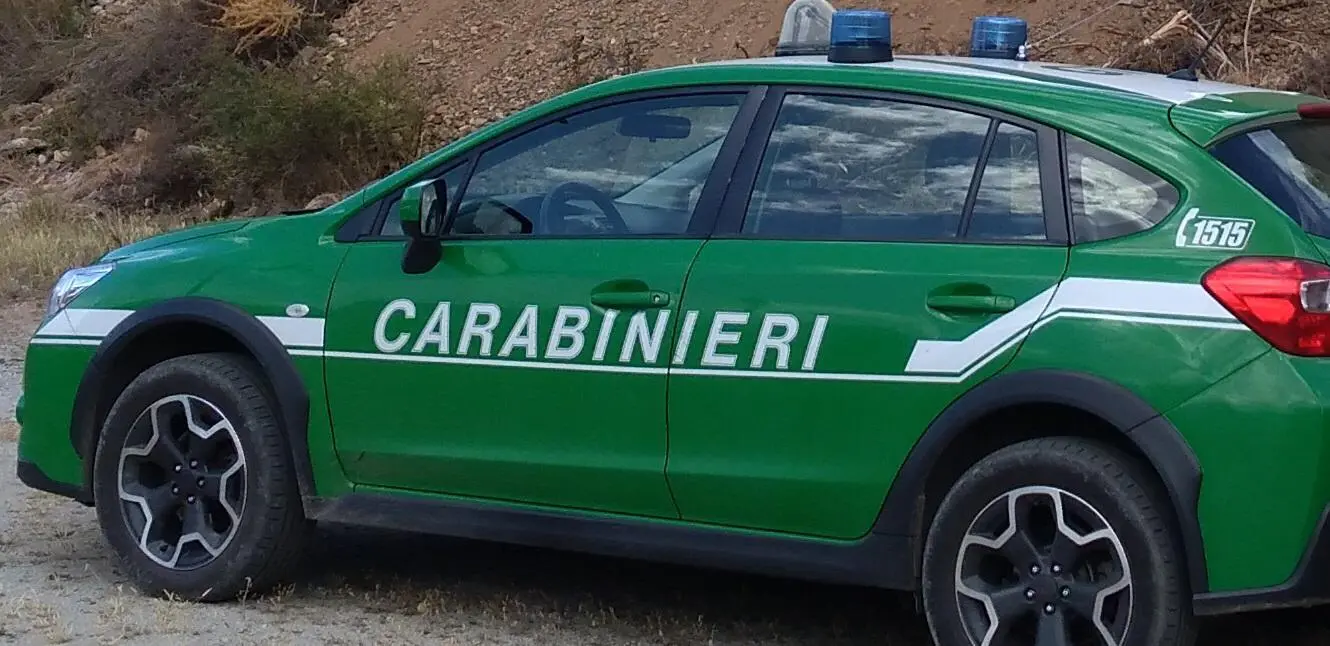 Reggio Calabria, incendiano un capannone industriale dismesso. Arrestati mandante ed esecutore