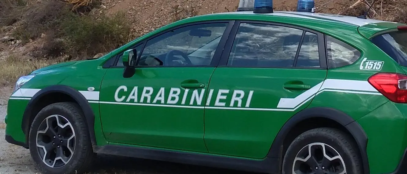 Reggio Calabria, incendiano un capannone industriale dismesso. Arrestati mandante ed esecutore