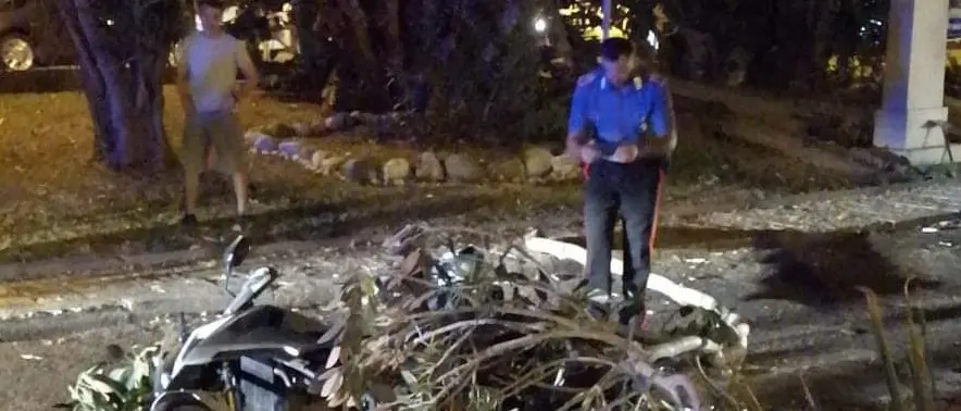Reggio Calabria, ramo si spezza e cade su uno scooter. Paura sul lungomare