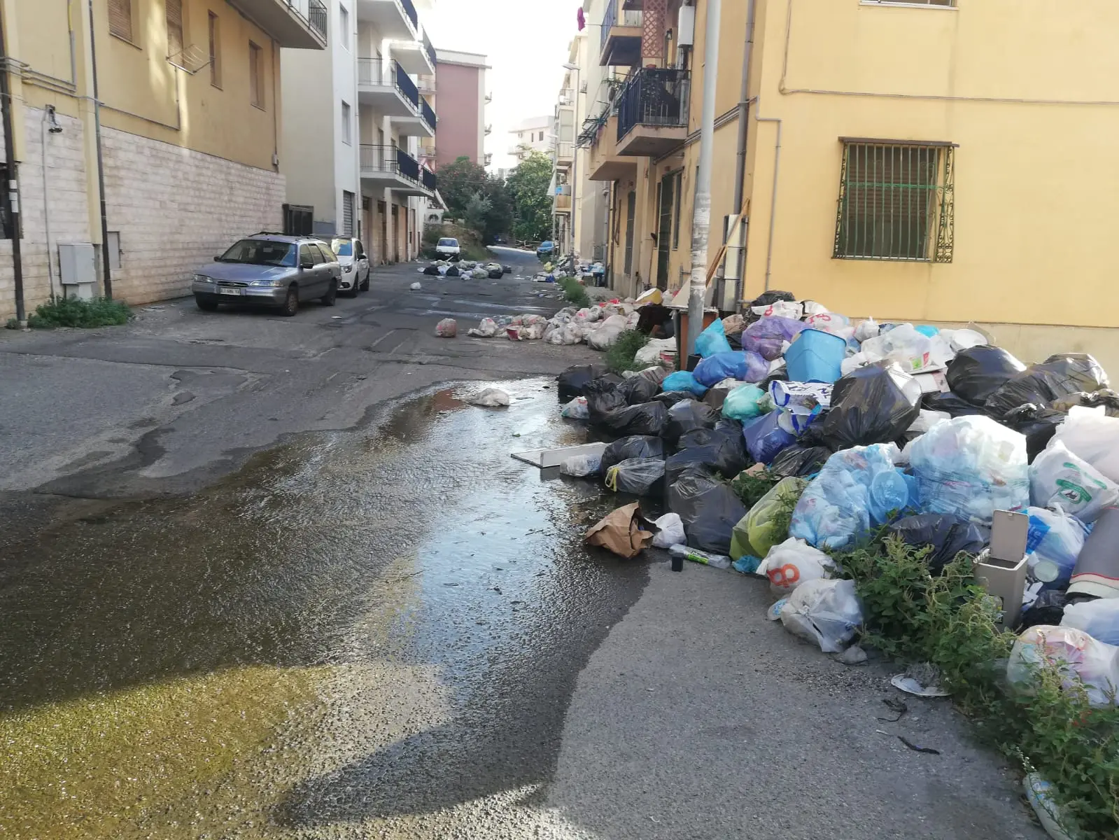 Reggio, degrado e spazzatura nella via che conduce alla Mediterranea