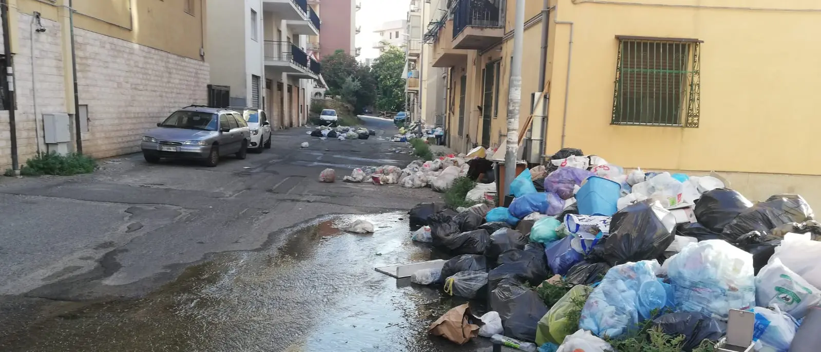 Reggio, degrado e spazzatura nella via che conduce alla Mediterranea