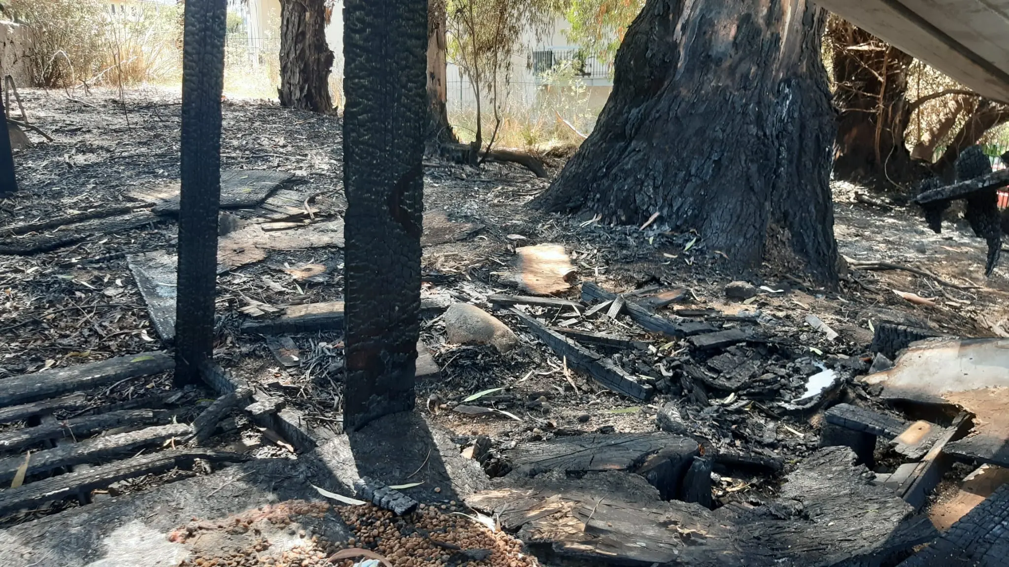 Reggio, incendiata e distrutta la colonia felina dell'associazione \"Il gatto nero\"