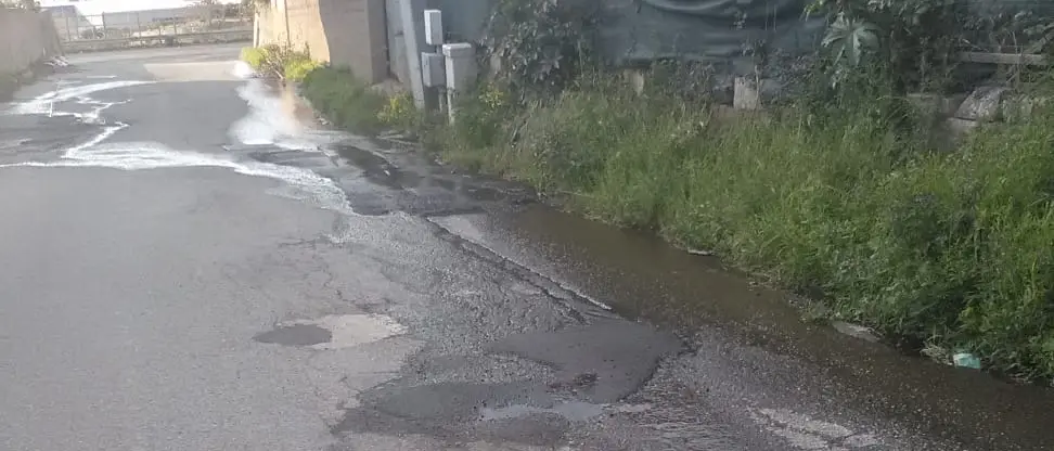 Elezioni Reggio, Imbalzano: «Contrada Trapezzoli è la strada della vergogna»