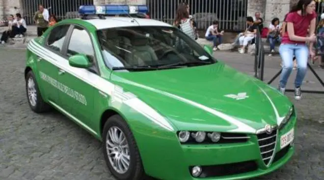 Reggio Calabria, operazione antibracconaggio dei carabinieri forestali: un arresto e due denunce