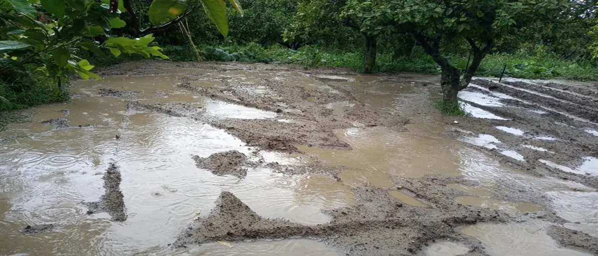 Reggio Calabria, Crea: «Dopo i lavori dell’attraversamento sul Valanidi le acque piovane invadono gli agrumeti»