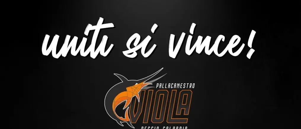 Basket, Viola e Avis rinnovano la partnership