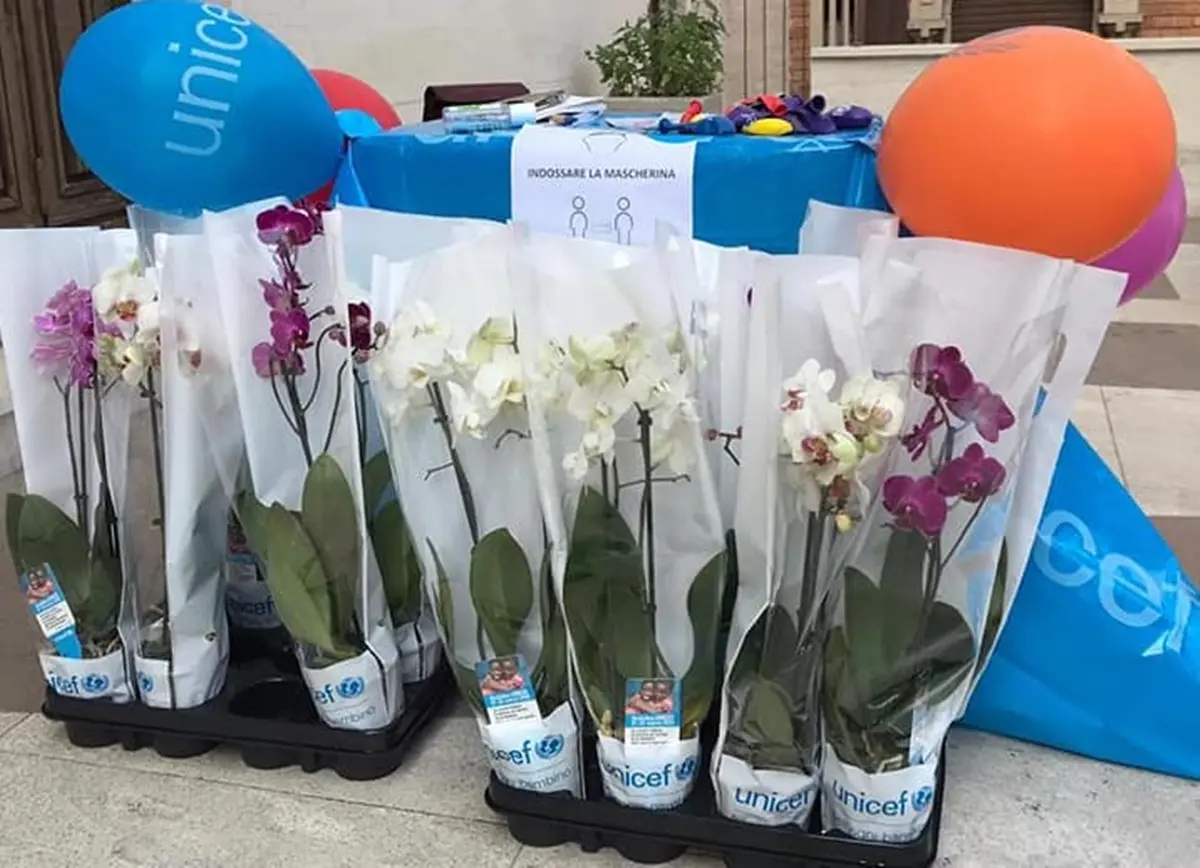 Reggio Calabria, orchidee dell'Unicef: grande risposta all'iniziativa per contrastare la malnutrizione infantile