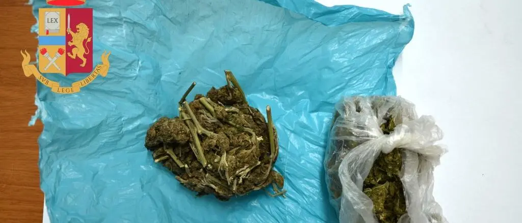 Rosarno, beccato con la cannabis in indumenti intimi. In manette 20enne