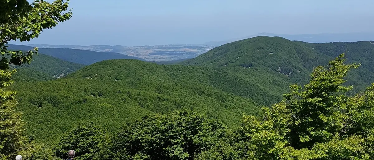 Reggio, esce per una battuta di caccia e non fa ritorno a casa: morto un 60enne reggino