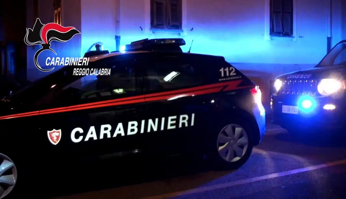 'Ndrangheta e narcotraffico, 21 arresti fra Reggio Calabria e Roma