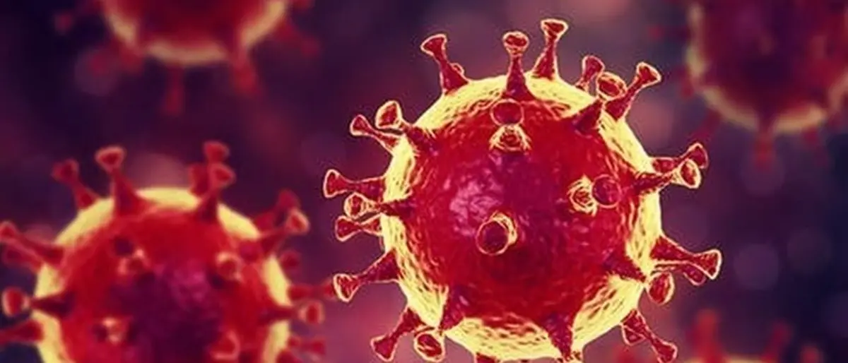 Coronavirus Reggio Calabria, 50 nuovi casi. Il bollettino della Regione