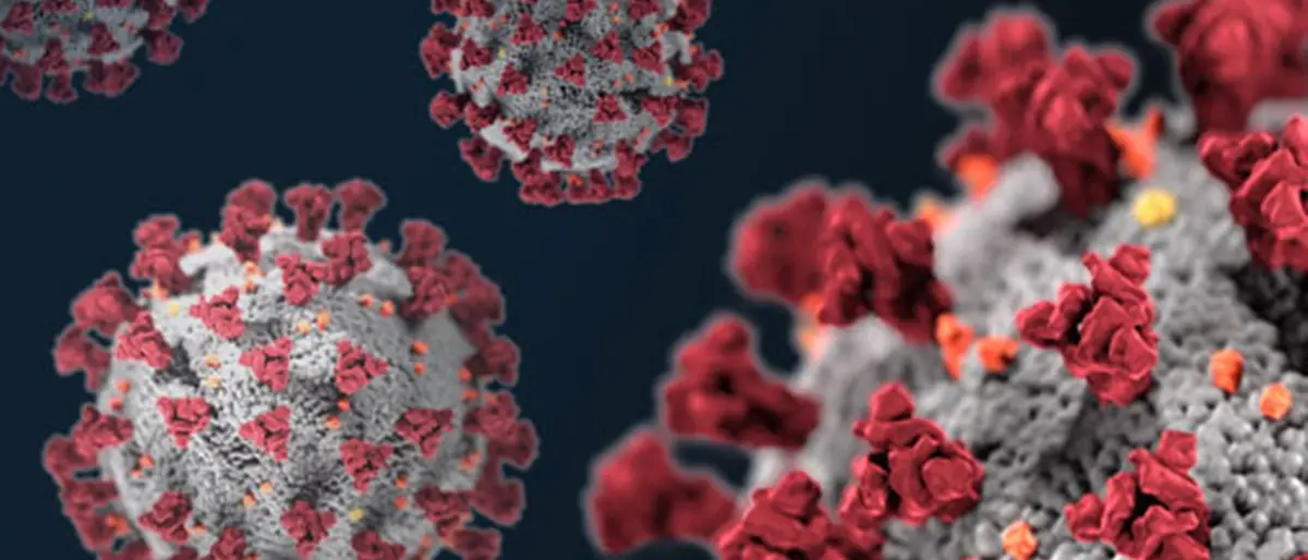 Coronavirus, cosa fare in caso di contatto con una persona positiva