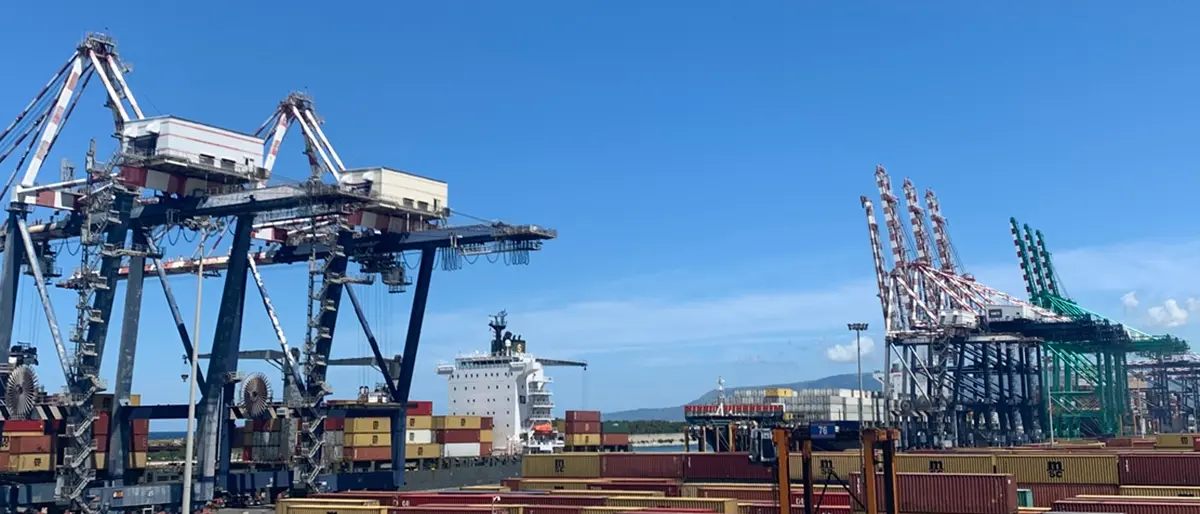 Gioia Tauro, archiviata la posizione di 4 fra dirigenti e impiegati della AdSP del basso Tirreno e Jonio