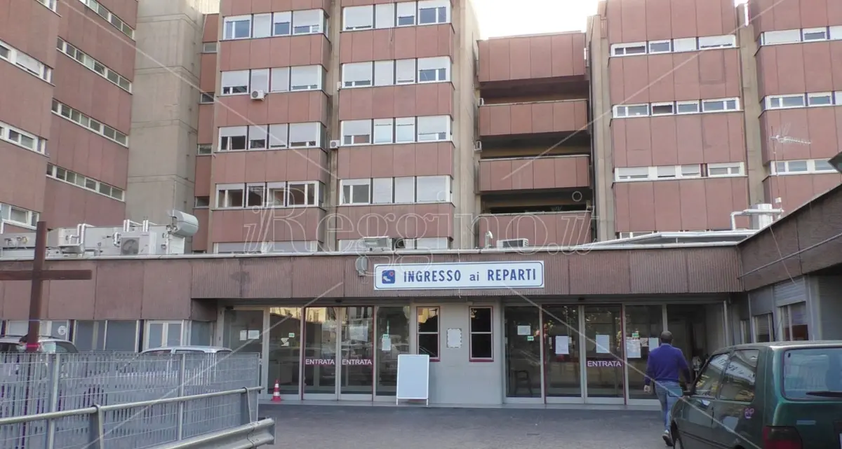 Sanità in Calabria, la denuncia dell’Aned: «Vergognoso naufragio della trapiantologia e della nefrologia»\n