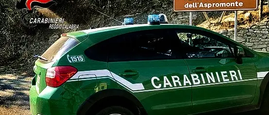 Controlli anti-bracconaggio nel reggino, otto denunciati. Sequestrati armi e richiami