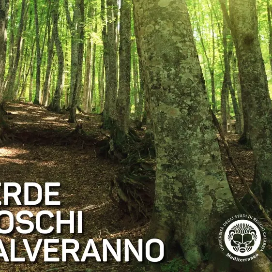 Università Mediterrea, il dipartimento di Agraria celebra la giornata degli alberi