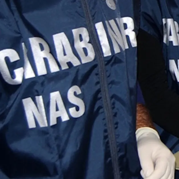 Blitz dei Nas nei locali del reggino, irregolarità e alimenti sequestrati