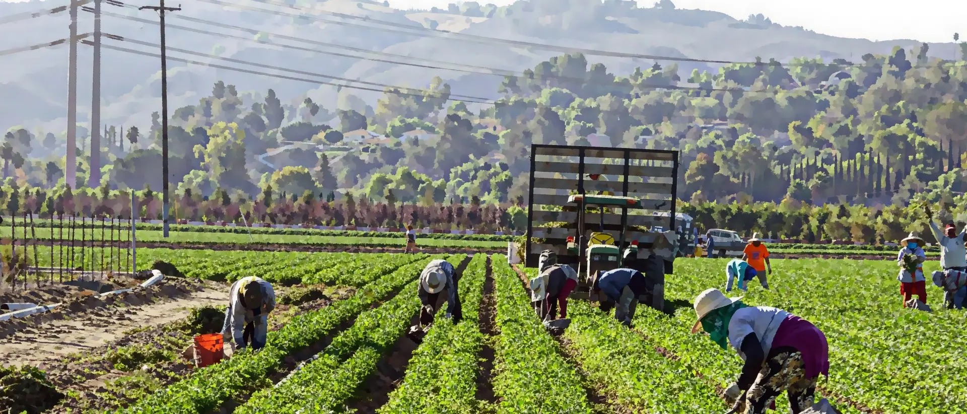 Roghudi, falsi braccianti in azienda agricola: scoperta truffa da 100mila euro
