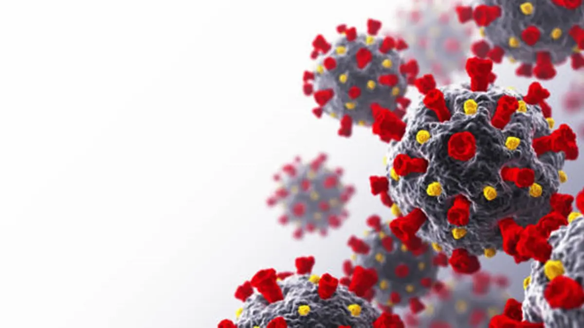 Coronavirus. COVID-19. 3D Render , Getty Images
