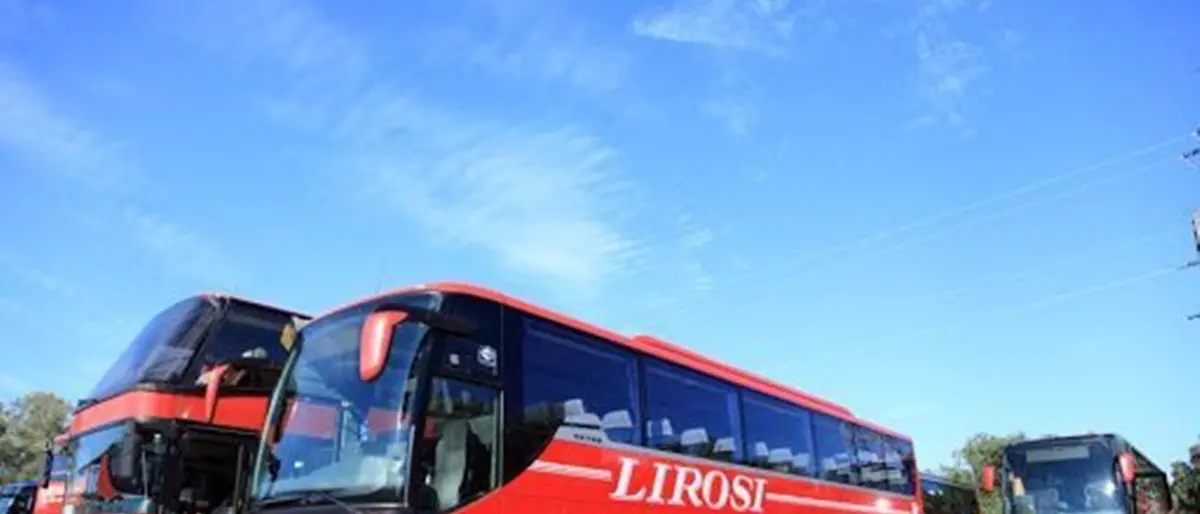 Gioia Tauro, vertenza Lirosi Linee: licenziamenti, servizi interrotti e quadro societario complesso