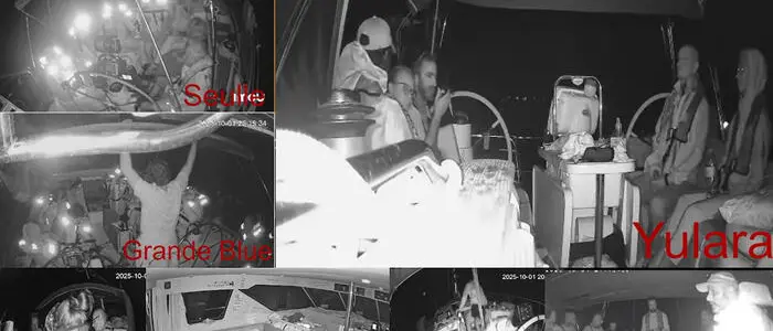 Flotilla, tra mito e codice penale: perché gli attivisti italiani non finiranno dietro le sbarre\n