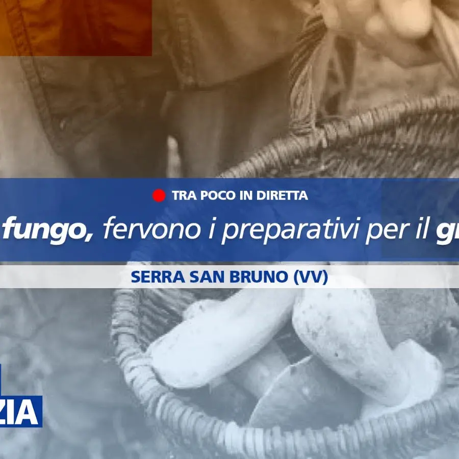 La Festa del Fungo di Serra come vetrina per valorizzare il territorio: focus a Dentro la Notizia