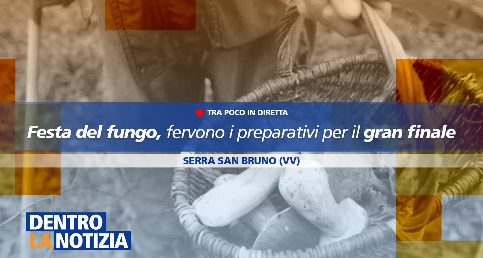 La Festa del Fungo di Serra come vetrina per valorizzare il territorio: focus a Dentro la Notizia