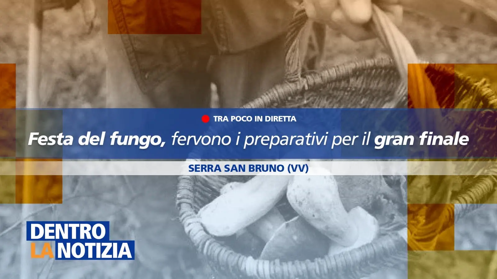 La Festa del Fungo di Serra come vetrina per valorizzare il territorio: focus a Dentro la Notizia