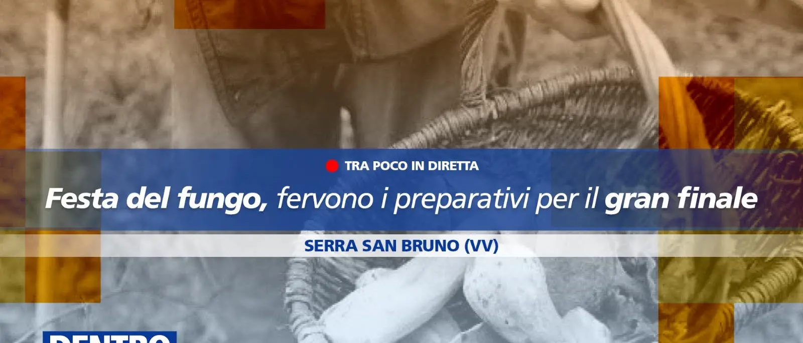 La Festa del Fungo di Serra come vetrina per valorizzare il territorio: focus a Dentro la Notizia