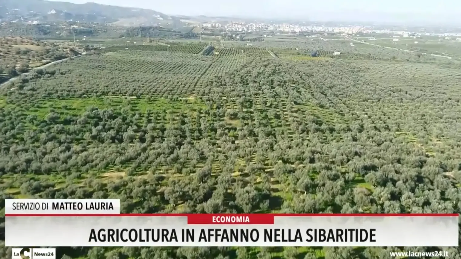 Agricoltura in affanno nella Sibaritide