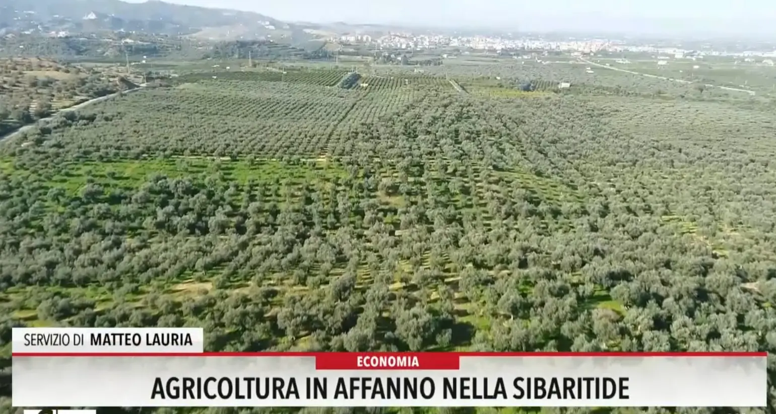Agricoltura in affanno nella Sibaritide