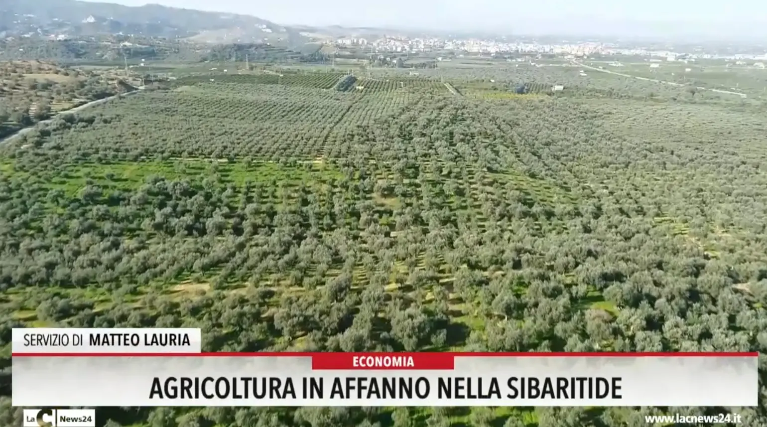 Agricoltura in affanno nella Sibaritide