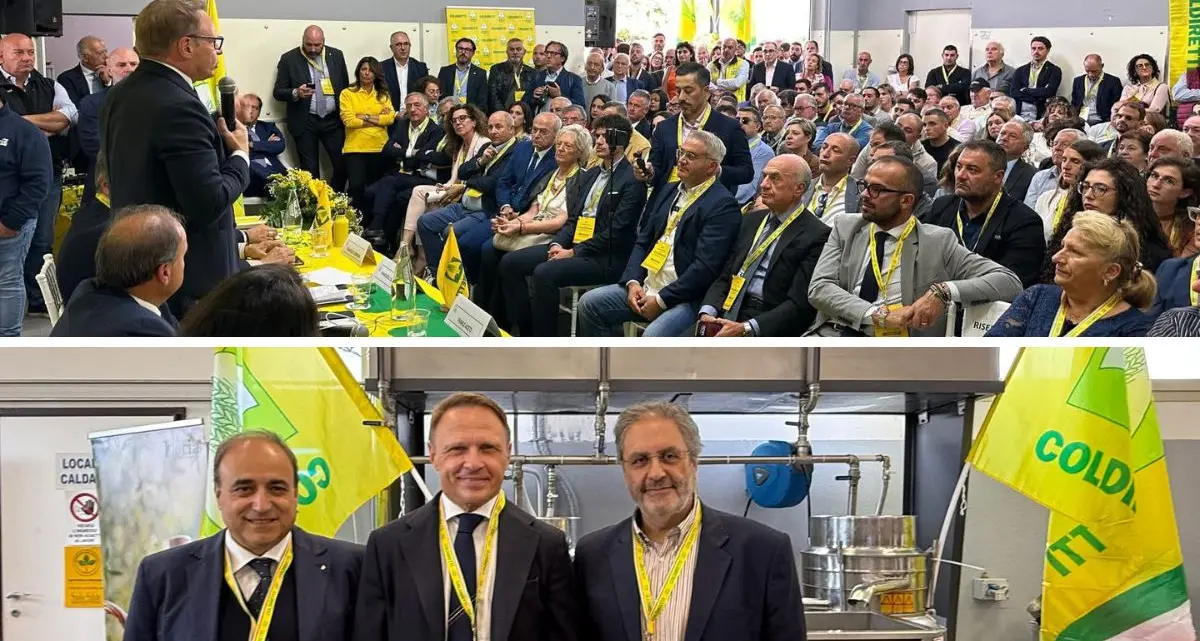 Coldiretti Calabria incontra il ministro Lollobrigida: «La Calabria agricola chiede attenzione»