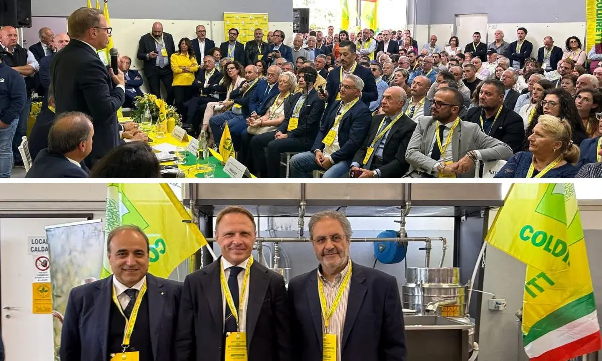 Coldiretti Calabria incontra il ministro Lollobrigida: «La Calabria agricola chiede attenzione». Presente anche una delegazione vibonese\n