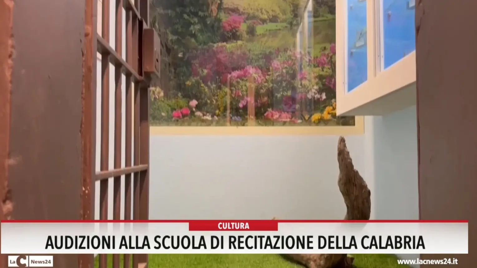 Audizioni alla scuola di recitazione della Calabria