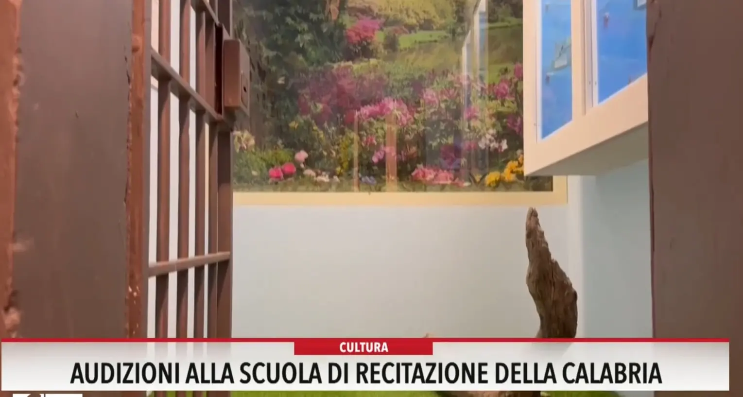 Audizioni alla scuola di recitazione della Calabria